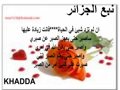 algerie mon amor